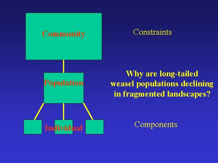 Community Population Individual Constraints Why are long-tailed weasel populations declining in fragmented landscapes? Components