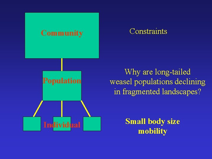Community Population Individual Constraints Why are long-tailed weasel populations declining in fragmented landscapes? Small