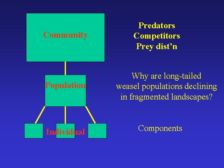 Community Population Individual Predators Competitors Prey dist’n Why are long-tailed weasel populations declining in
