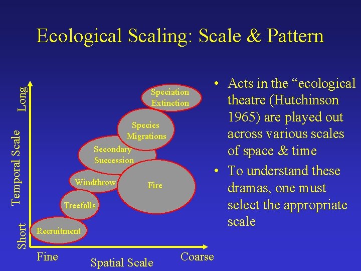 Long Ecological Scaling: Scale & Pattern Speciation Extinction Short Temporal Scale Species Migrations Secondary