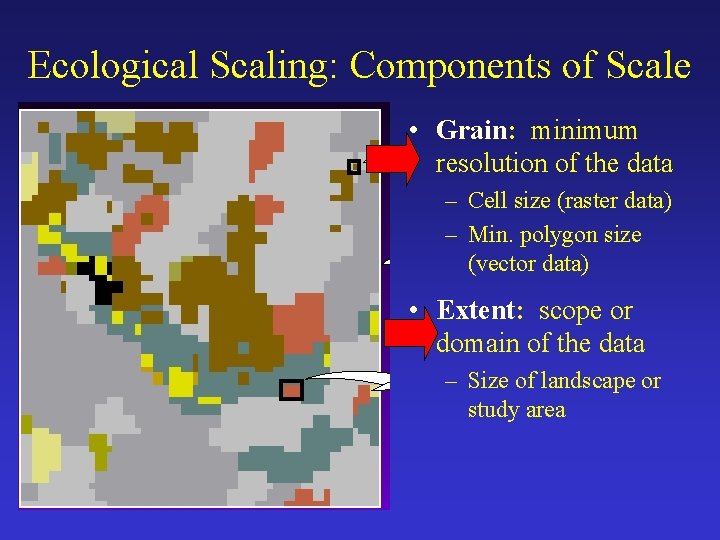 Ecological Scaling: Components of Scale • Grain: minimum resolution of the data – Cell