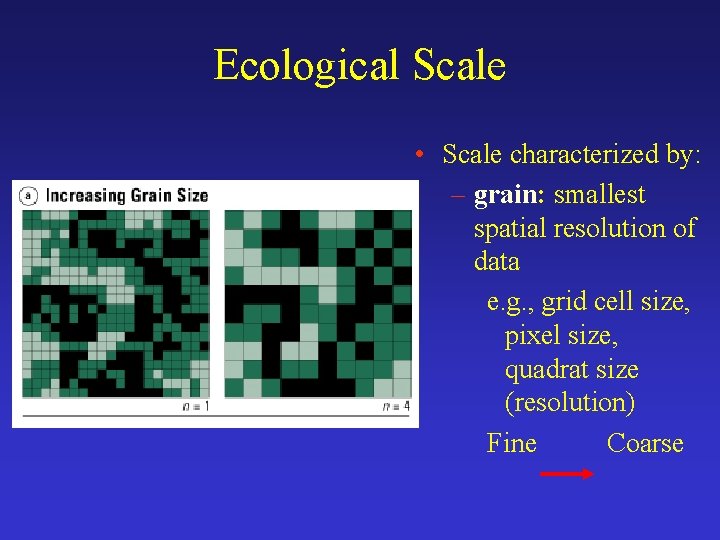 Ecological Scale • Scale characterized by: – grain: smallest spatial resolution of data e.