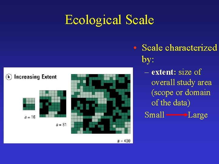 Ecological Scale • Scale characterized by: – extent: size of overall study area (scope