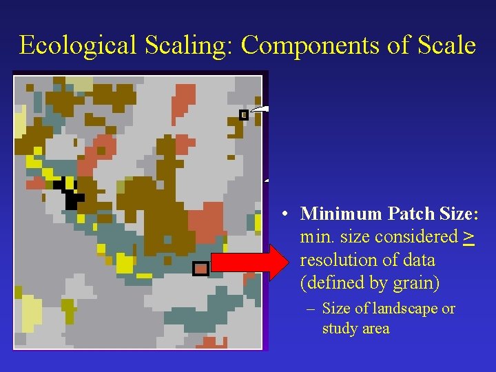 Ecological Scaling: Components of Scale • Minimum Patch Size: min. size considered > resolution