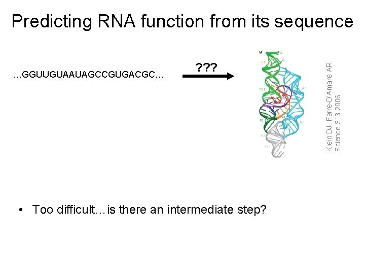 …GGUUGUAAUAGCCGUGACGC… ? ? ? • Too difficult…is there an intermediate step? Klein DJ, Ferre-D’Amare