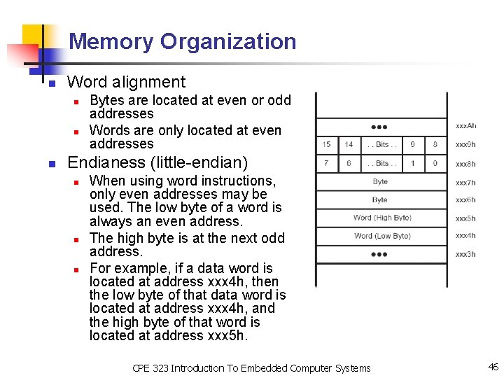 Memory Organization n Word alignment n n n Bytes are located at even or