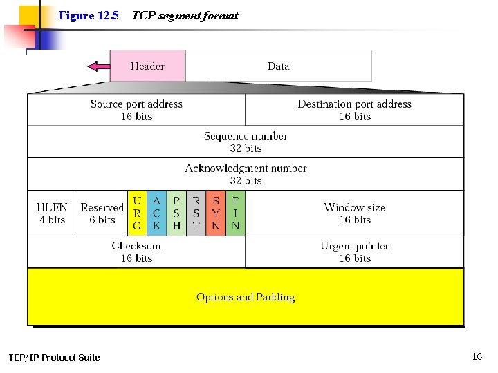 Figure 12. 5 TCP/IP Protocol Suite TCP segment format 16 