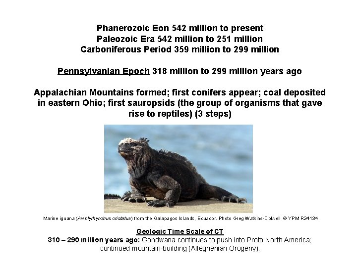 Phanerozoic Eon 542 million to present Paleozoic Era 542 million to 251 million Carboniferous