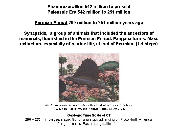 Phanerozoic Eon 542 million to present Paleozoic Era 542 million to 251 million Permian