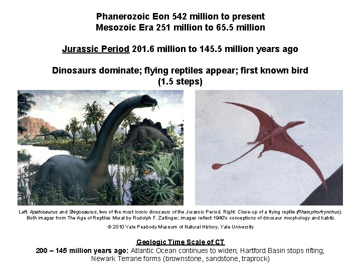 Phanerozoic Eon 542 million to present Mesozoic Era 251 million to 65. 5 million
