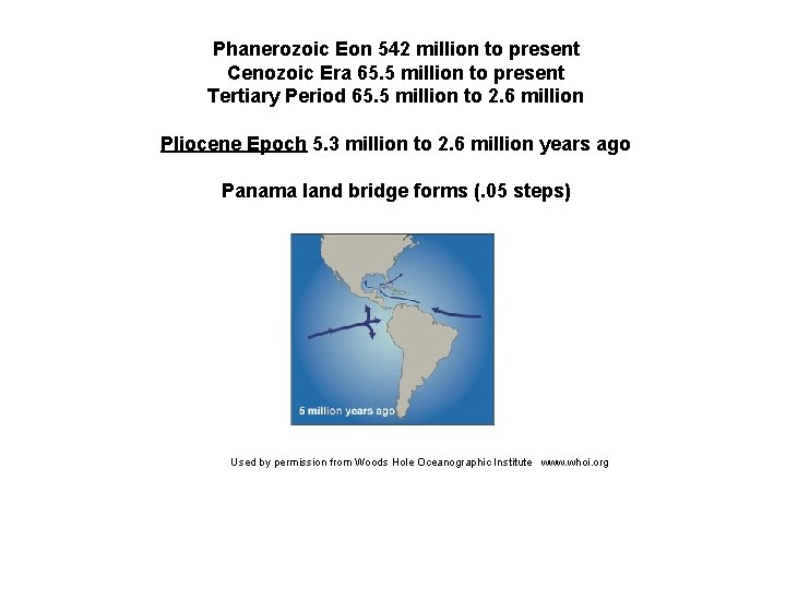 Phanerozoic Eon 542 million to present Cenozoic Era 65. 5 million to present Tertiary