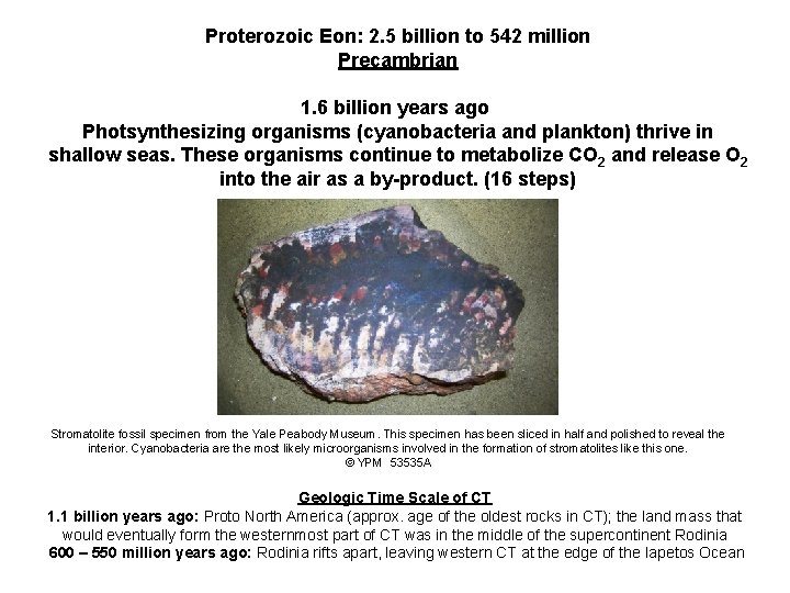 Proterozoic Eon: 2. 5 billion to 542 million Precambrian 1. 6 billion years ago