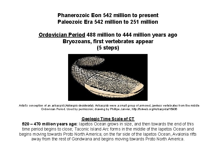 Phanerozoic Eon 542 million to present Paleozoic Era 542 million to 251 million Ordovician