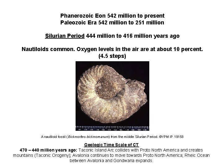 Phanerozoic Eon 542 million to present Paleozoic Era 542 million to 251 million Silurian