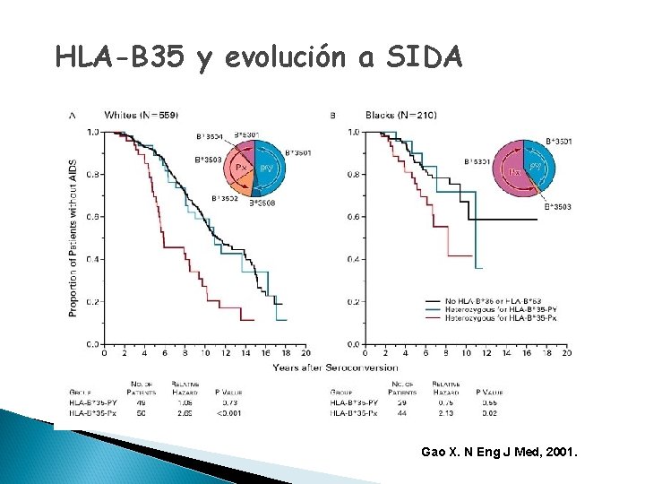 HLA-B 35 y evolución a SIDA Gao X. N Eng J Med, 2001. 