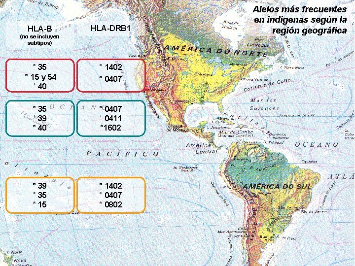 HLA-B HLA-DRB 1 (no se incluyen subtipos) * 35 * 15 y 54 *