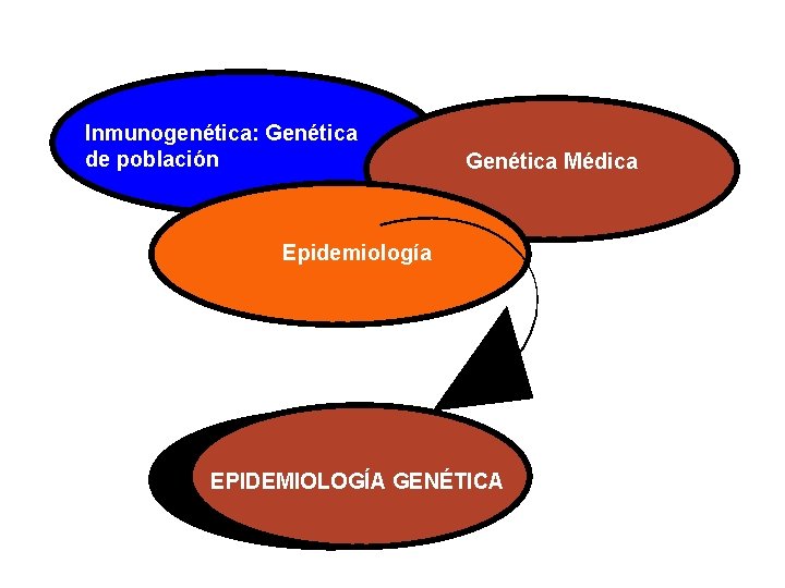 Inmunogenética: Genética de población Genética Médica Epidemiología EPIDEMIOLOGÍA GENÉTICA 