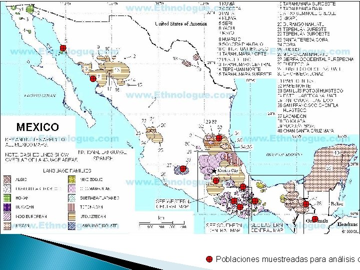 Poblaciones muestreadas para análisis d 