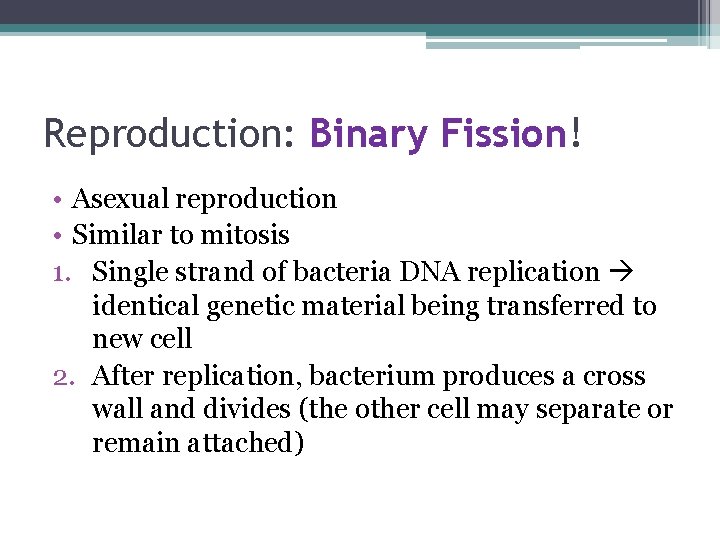 Reproduction: Binary Fission! • Asexual reproduction • Similar to mitosis 1. Single strand of