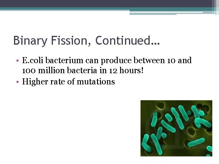 Binary Fission, Continued… • E. coli bacterium can produce between 10 and 100 million