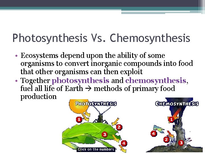 Photosynthesis Vs. Chemosynthesis • Ecosystems depend upon the ability of some organisms to convert