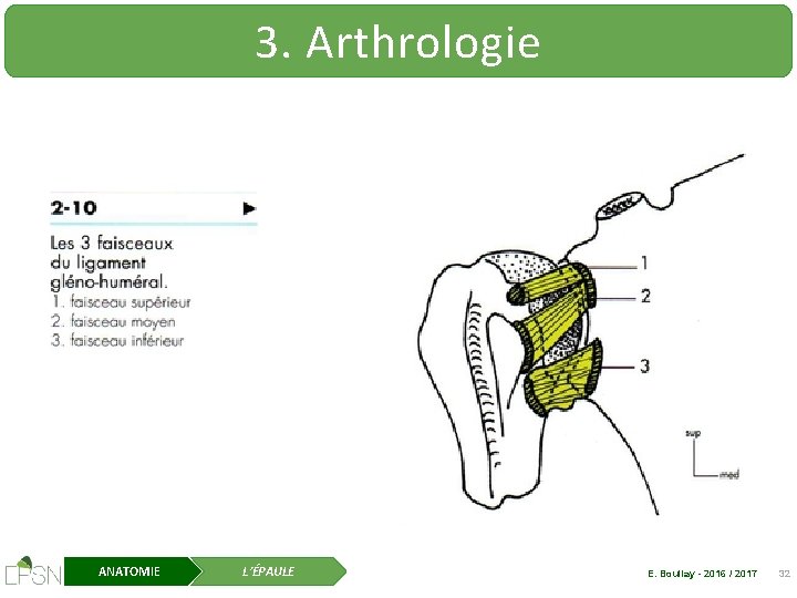 3. Arthrologie ANATOMIE L’ÉPAULE E. Boullay - 2016 / 2017 32 