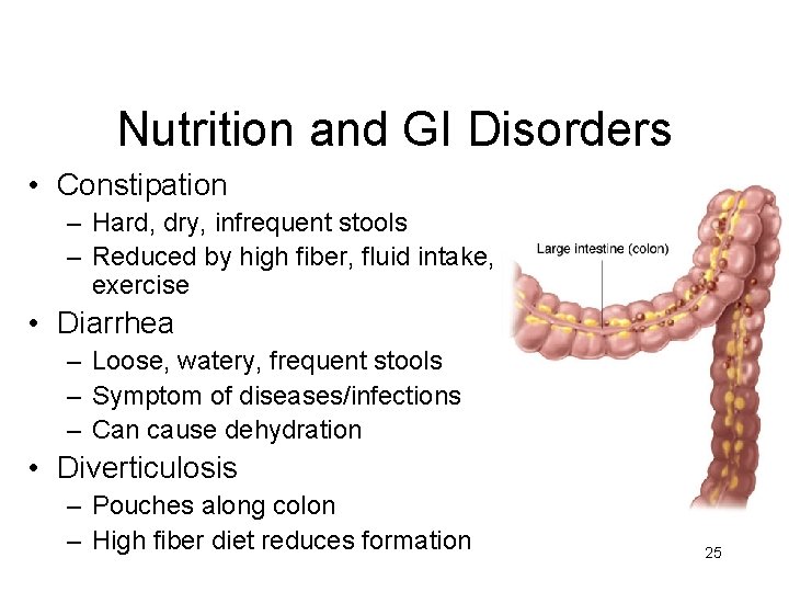 Nutrition and GI Disorders • Constipation – Hard, dry, infrequent stools – Reduced by