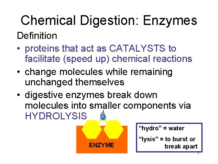 Chemical Digestion: Enzymes Definition • proteins that act as CATALYSTS to facilitate (speed up)