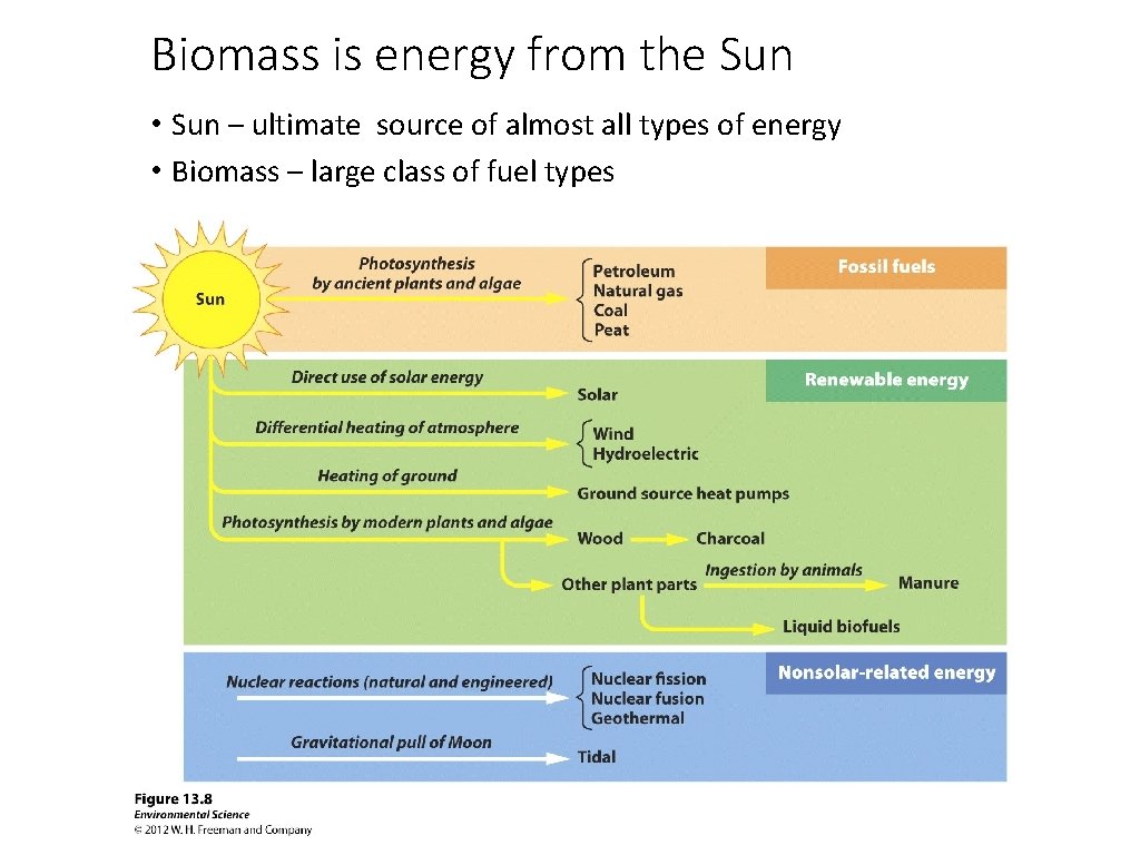 Biomass is energy from the Sun • Sun – ultimate source of almost all
