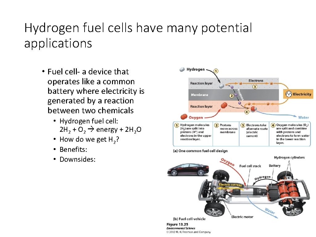 Hydrogen fuel cells have many potential applications • Fuel cell- a device that operates