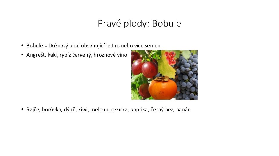 Pravé plody: Bobule • Bobule = Dužnatý plod obsahující jedno nebo více semen •