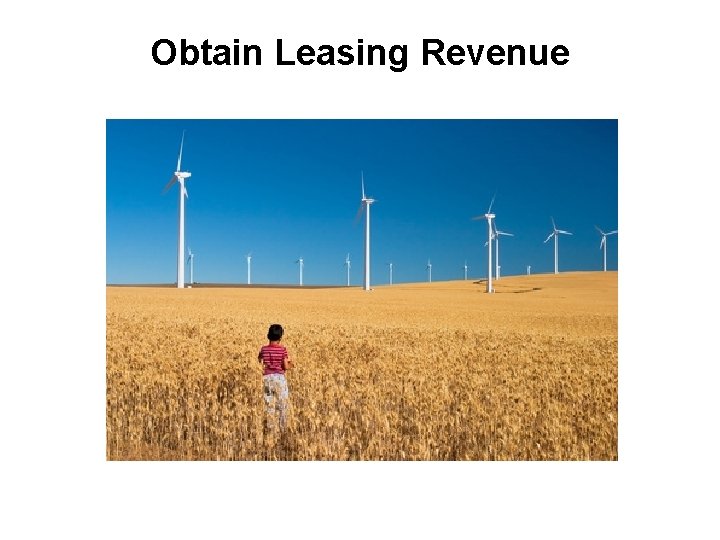 Obtain Leasing Revenue 