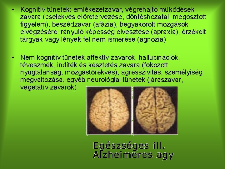  • Kognitív tünetek: emlékezetzavar, végrehajtó működések zavara (cselekvés előretervezése, döntéshozatal, megosztott figyelem), beszédzavar