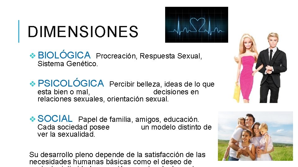 DIMENSIONES v BIOLÓGICA Procreación, Respuesta Sexual, Sistema Genético. v PSICOLÓGICA Percibir belleza, ideas de