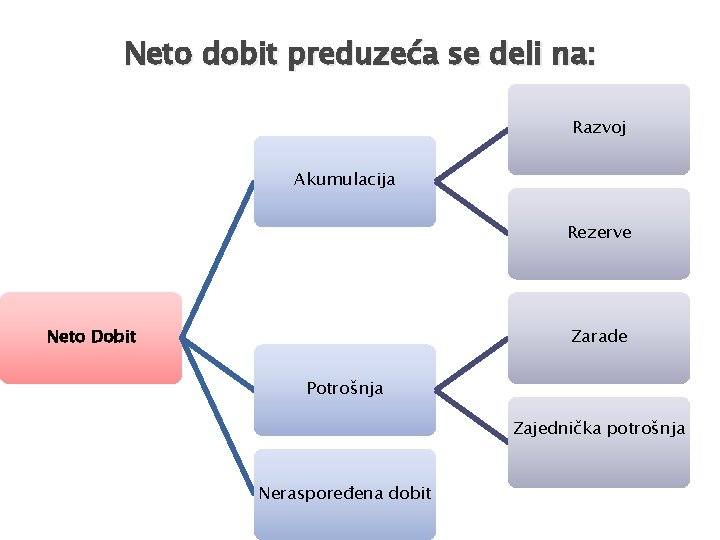 Neto dobit preduzeća se deli na: Razvoj Akumulacija Rezerve Neto Dobit Zarade Potrošnja Zajednička