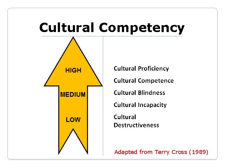 Cultural Competency Adapted from Terry Cross (1989) 