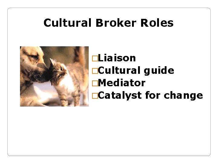 Cultural Broker Roles �Liaison �Cultural guide �Mediator �Catalyst for change 