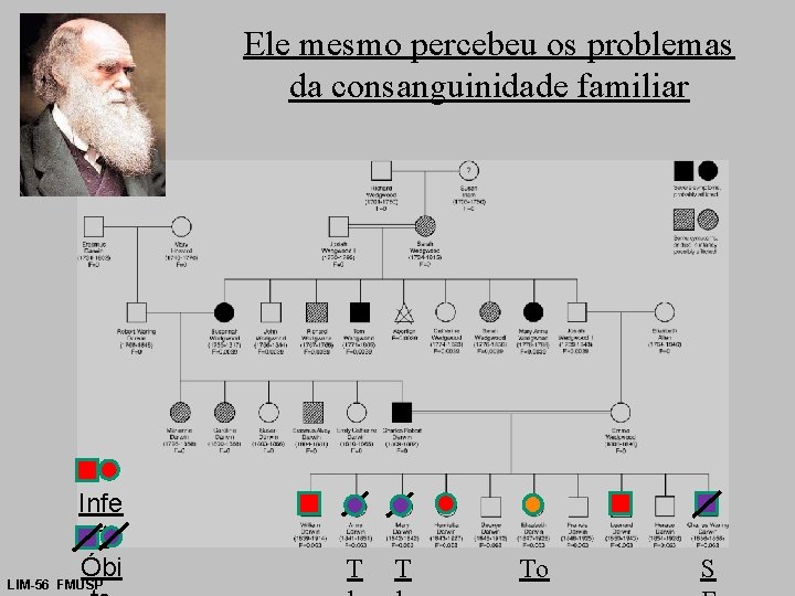 Ele mesmo percebeu os problemas da consanguinidade familiar Infe rt Óbi LIM-56 FMUSP T