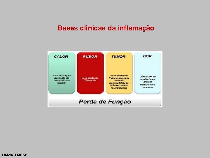 Bases clínicas da inflamação LIM-56 FMUSP 