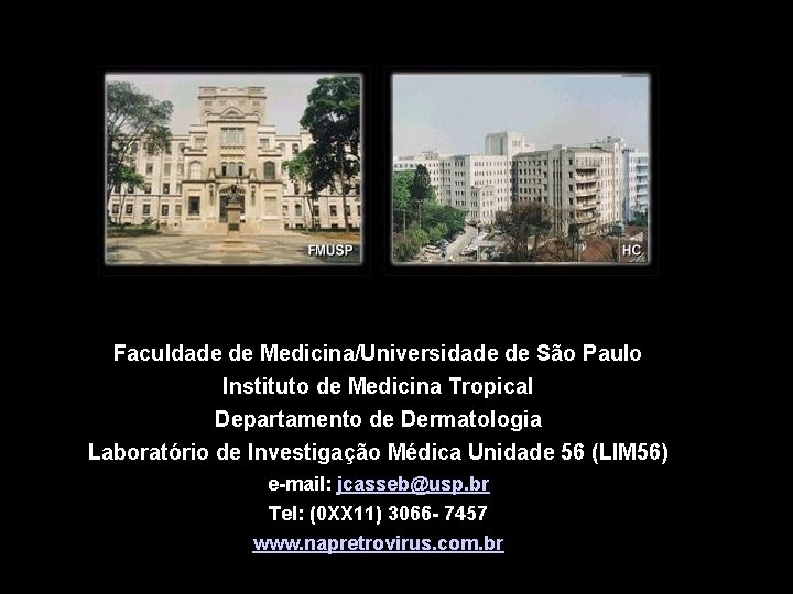 Faculdade de Medicina/Universidade de São Paulo Instituto de Medicina Tropical Departamento de Dermatologia Laboratório