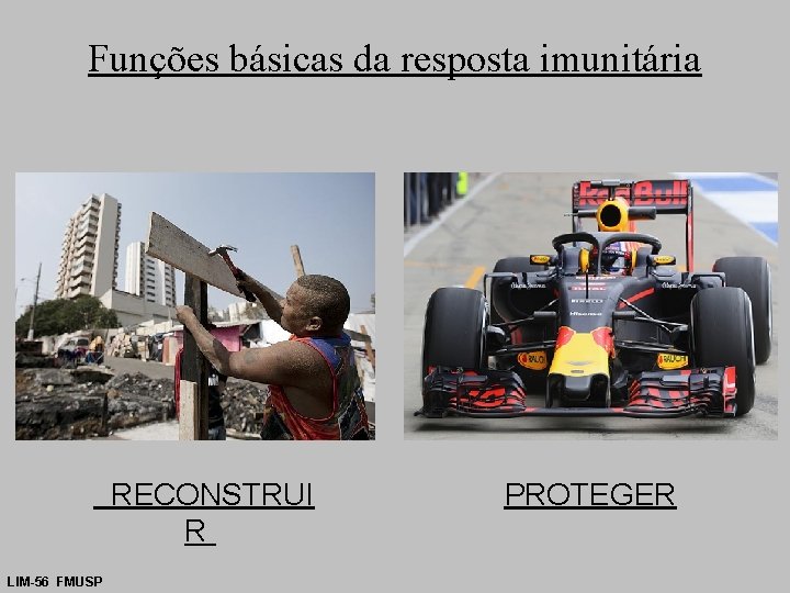 Funções básicas da resposta imunitária RECONSTRUI R LIM-56 FMUSP PROTEGER 