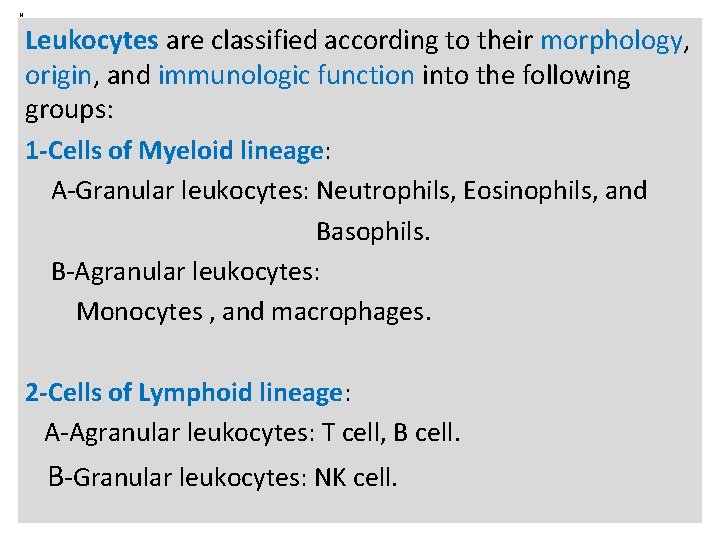 N Leukocytes are classified according to their morphology, origin, and immunologic function into the