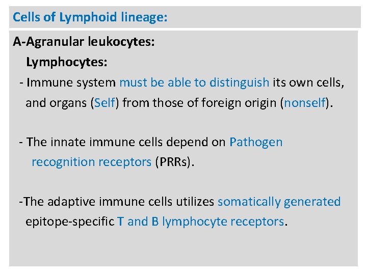 Cells of Lymphoid lineage: A-Agranular leukocytes: Lymphocytes: - Immune system must be able to