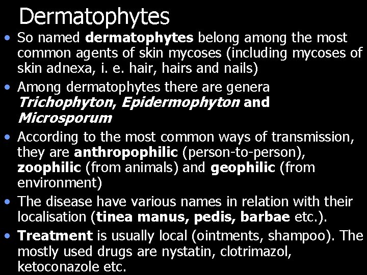 Dermatophytes • So named dermatophytes belong among the most common agents of skin mycoses