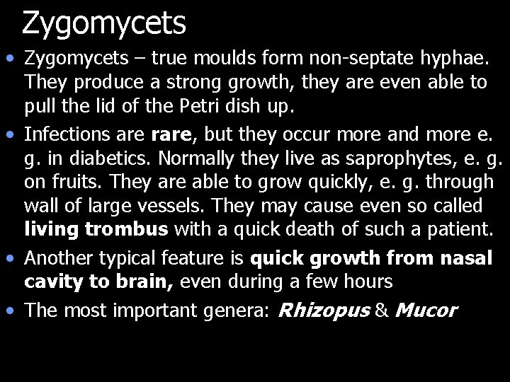 Zygomycets • Zygomycets – true moulds form non-septate hyphae. They produce a strong growth,