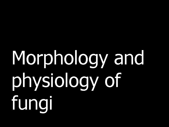 Morphology and physiology of fungi 