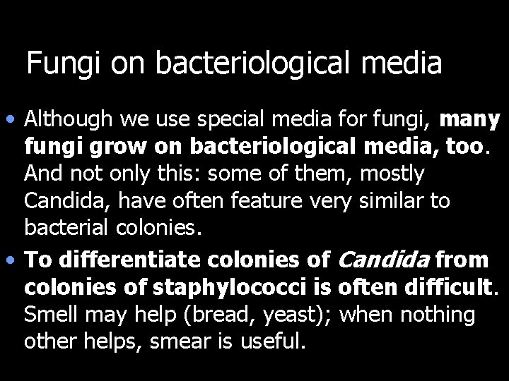 Fungi on bacteriological media • Although we use special media for fungi, many fungi