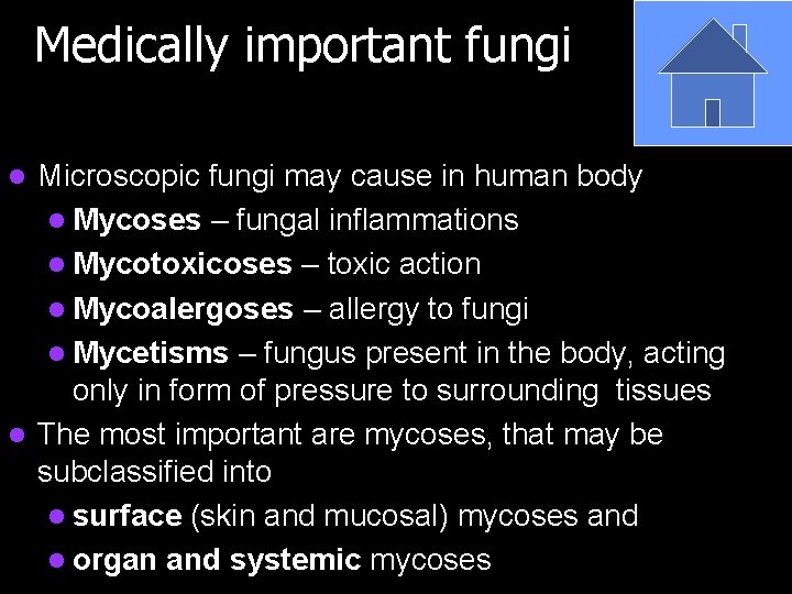 Medically important fungi Microscopic fungi may cause in human body l Mycoses – fungal