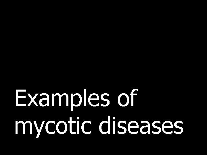 Examples of mycotic diseases 