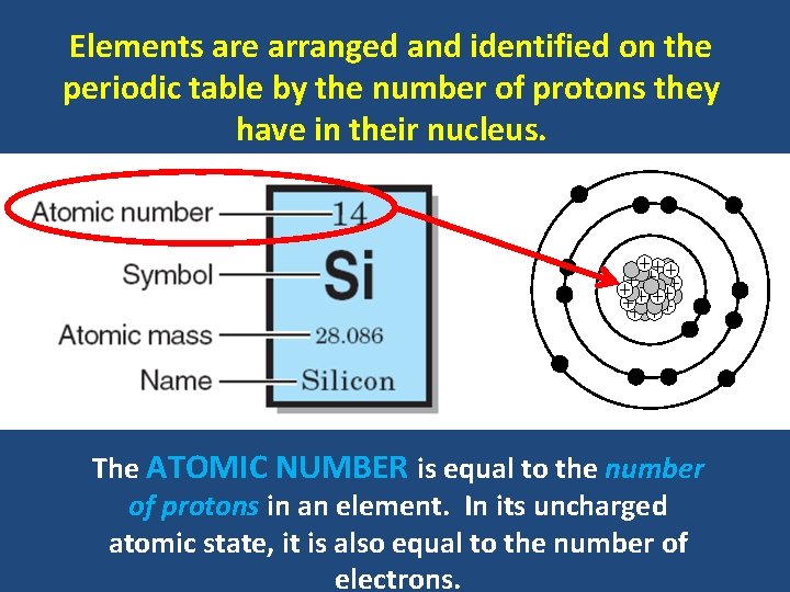 Elements are arranged and identified on the periodic table by the number of protons